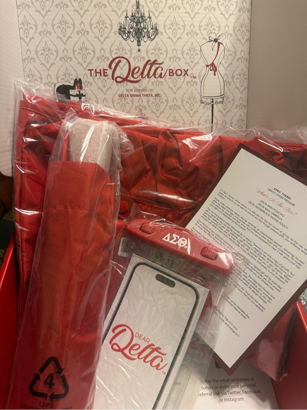 Delta Sigma Theta Rain Poncho, Umbrella and Pouch - Medium